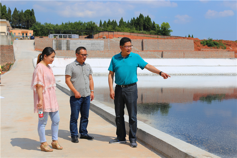 集團(tuán)第一檢查組檢查杰陽排水公司、固廢處置公司安全防汛和環(huán)保達(dá)標(biāo)各項(xiàng)工作