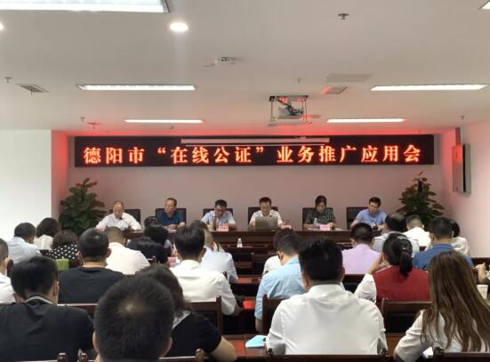 市民通又上新啦！