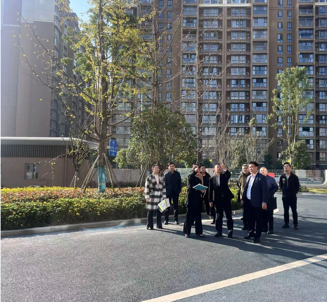 副市長徐春龍調(diào)研德陽市老年養(yǎng)護(hù)院、德陽市民政精神衛(wèi)生福利機(jī)構(gòu)項(xiàng)目建設(shè)工作